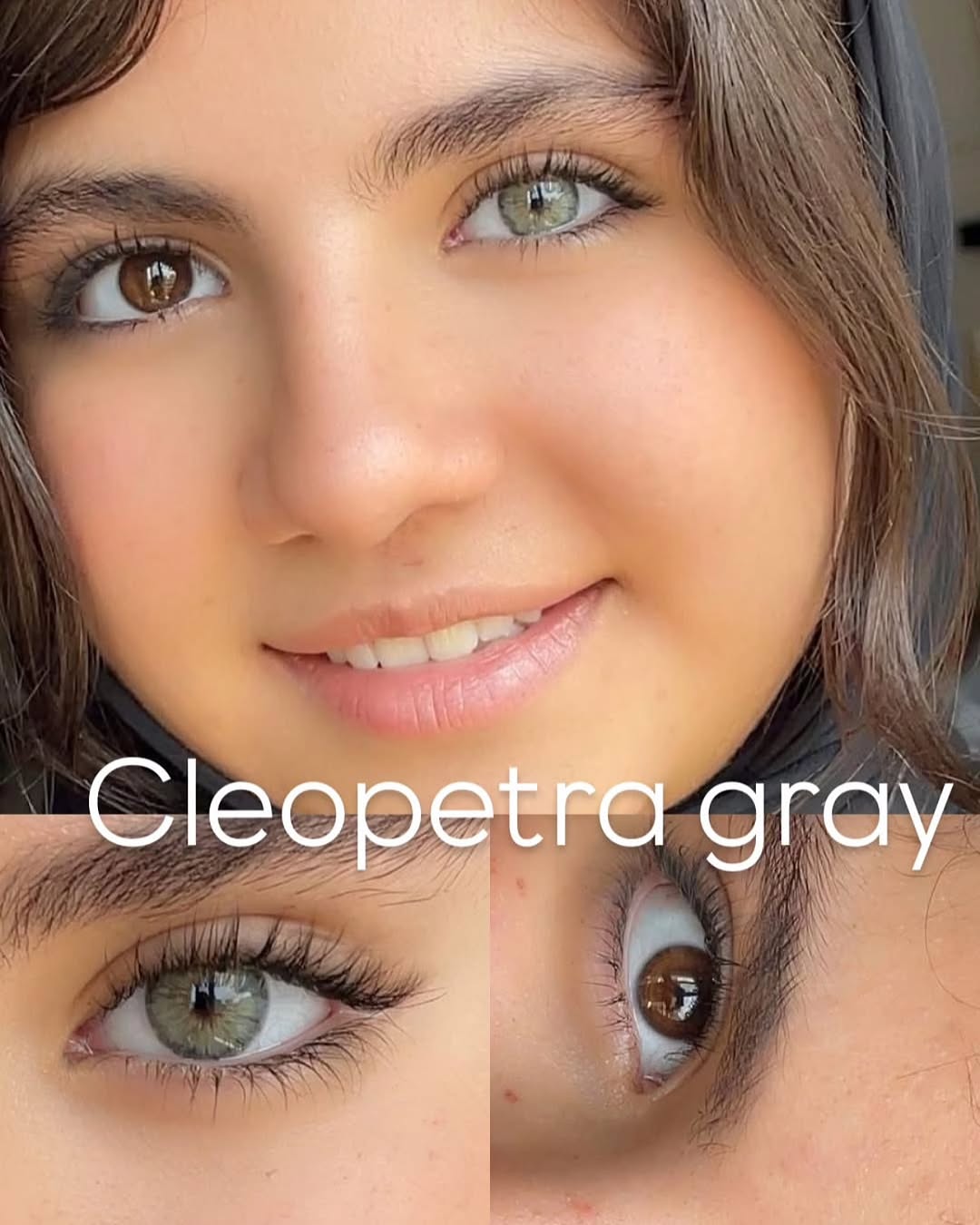 gris cleopatra