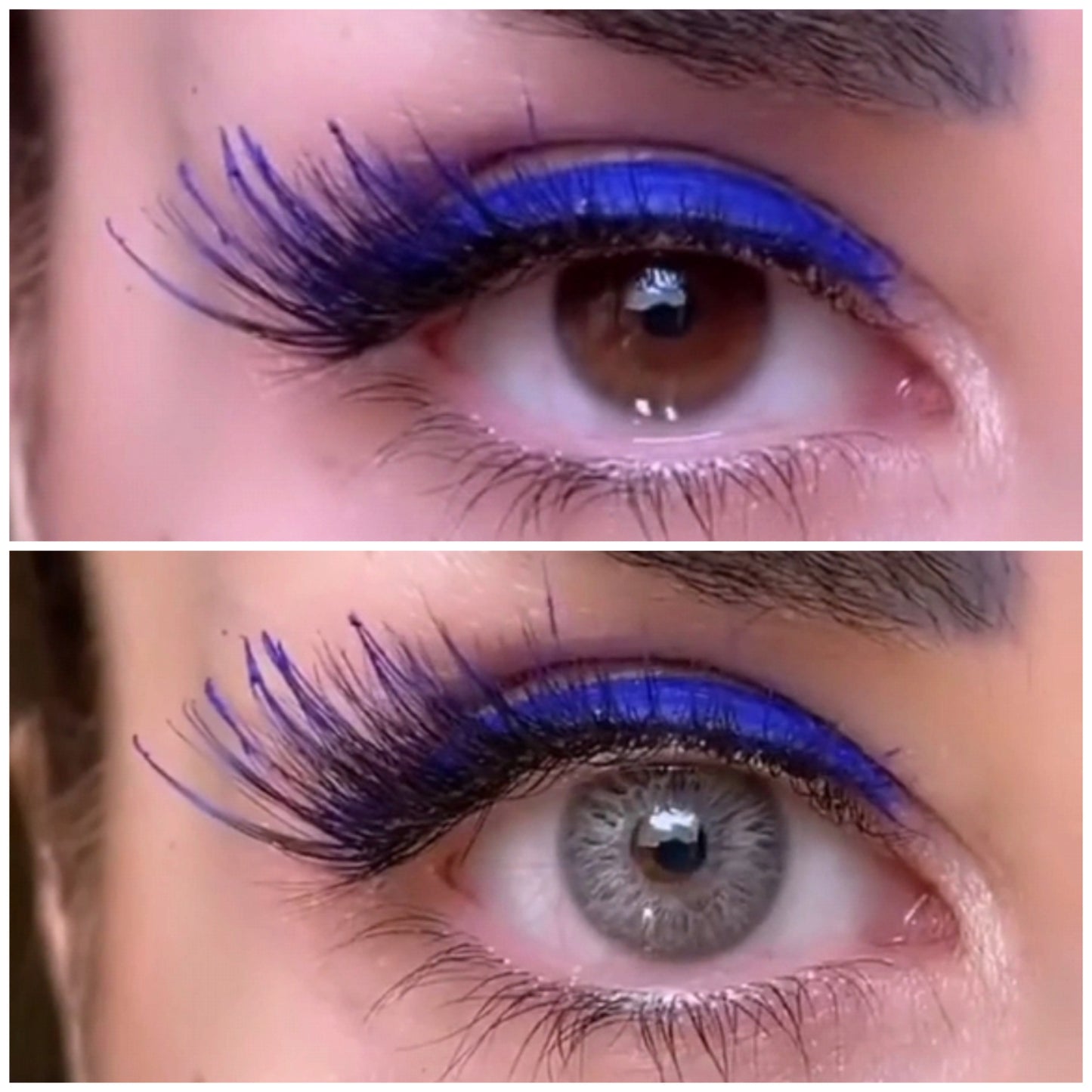 Gris Afrodita
